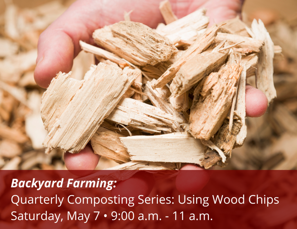 Backyard Farming Wood Chips